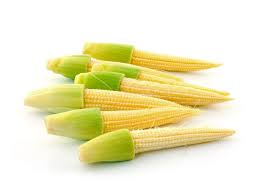 Baby Corn Manufacturer Supplier Wholesale Exporter Importer Buyer Trader Retailer in Erode Tamil Nadu India